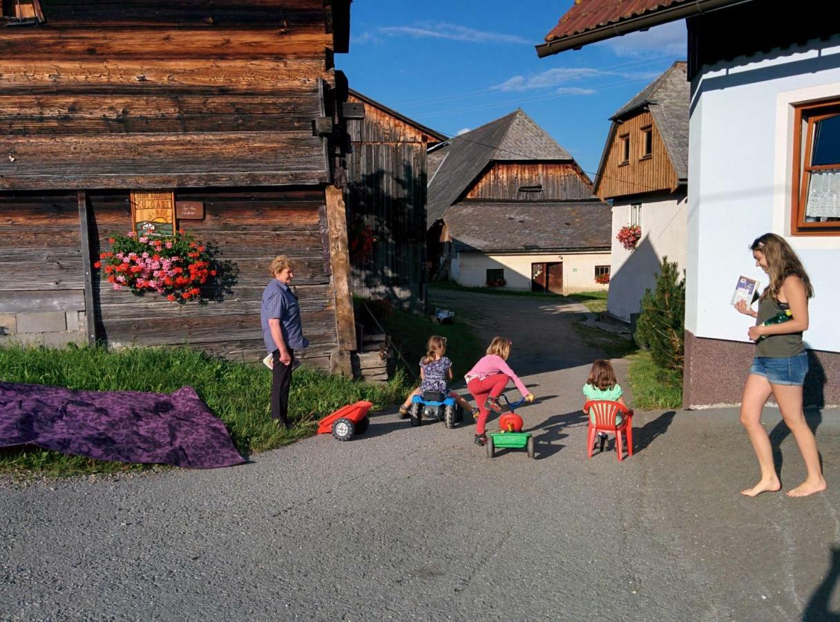 Rettlhof Villa Sankt Peter am Kammersberg Dış mekan fotoğraf
