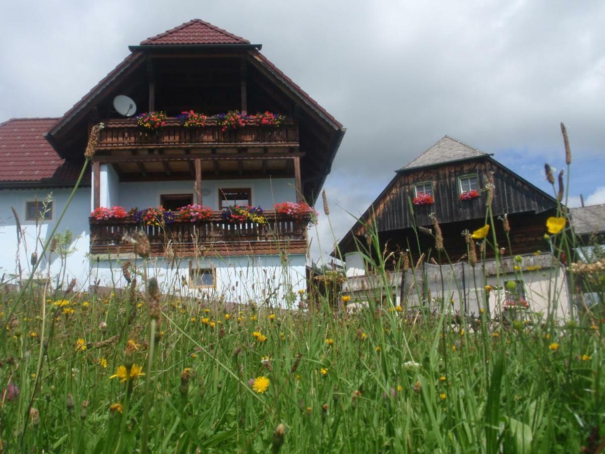 Rettlhof Villa Sankt Peter am Kammersberg Dış mekan fotoğraf