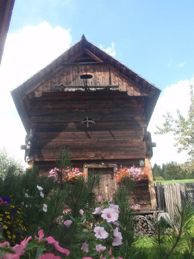 Rettlhof Villa Sankt Peter am Kammersberg Dış mekan fotoğraf